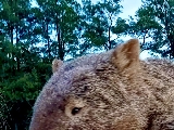 輪播圖片