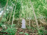 輪播圖片