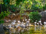 輪播圖片