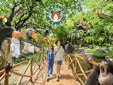 輪播圖片