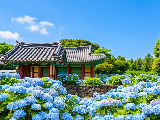 輪播圖片