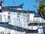 輪播圖片