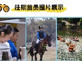 輪播圖片