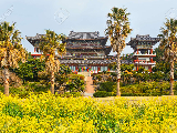 輪播圖片