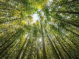 輪播圖片