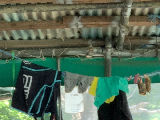 輪播圖片