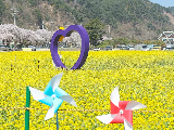 輪播圖片