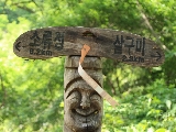 輪播圖片