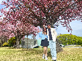 輪播圖片