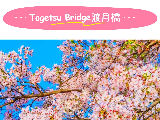 輪播圖片