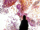 Carousel image