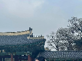 輪播圖片