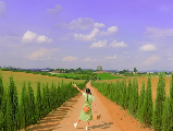 輪播圖片