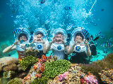 輪播圖片