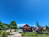 輪播圖片