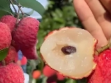 輪播圖片