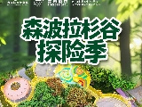 輪播圖片
