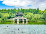 輪播圖片
