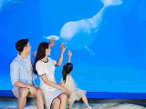輪播圖片