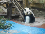 輪播圖片
