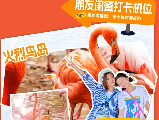 輪播圖片