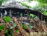 輪播圖片