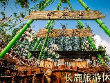 輪播圖片