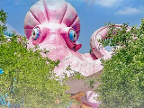輪播圖片
