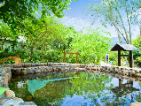 輪播圖片