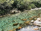 輪播圖片