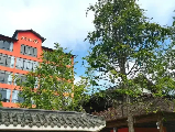 輪播圖片