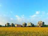 輪播圖片