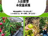 輪播圖片
