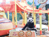 Carousel image