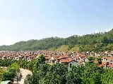 輪播圖片