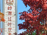 輪播圖片