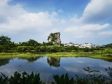 輪播圖片