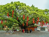 輪播圖片