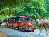 Carousel image