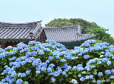 輪播圖片