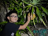 輪播圖片