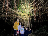輪播圖片