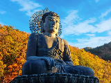 輪播圖片