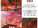 輪播圖片