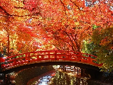 輪播圖片
