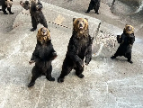 輪播圖片