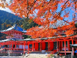 輪播圖片