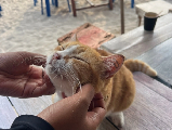 輪播圖片