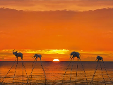 Carousel image
