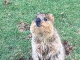 輪播圖片